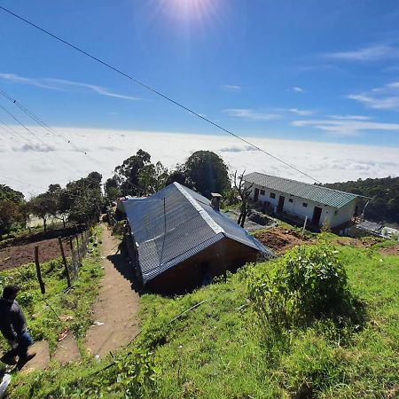 Dostel: Backpacker Hostel 코다이카날 외부 사진