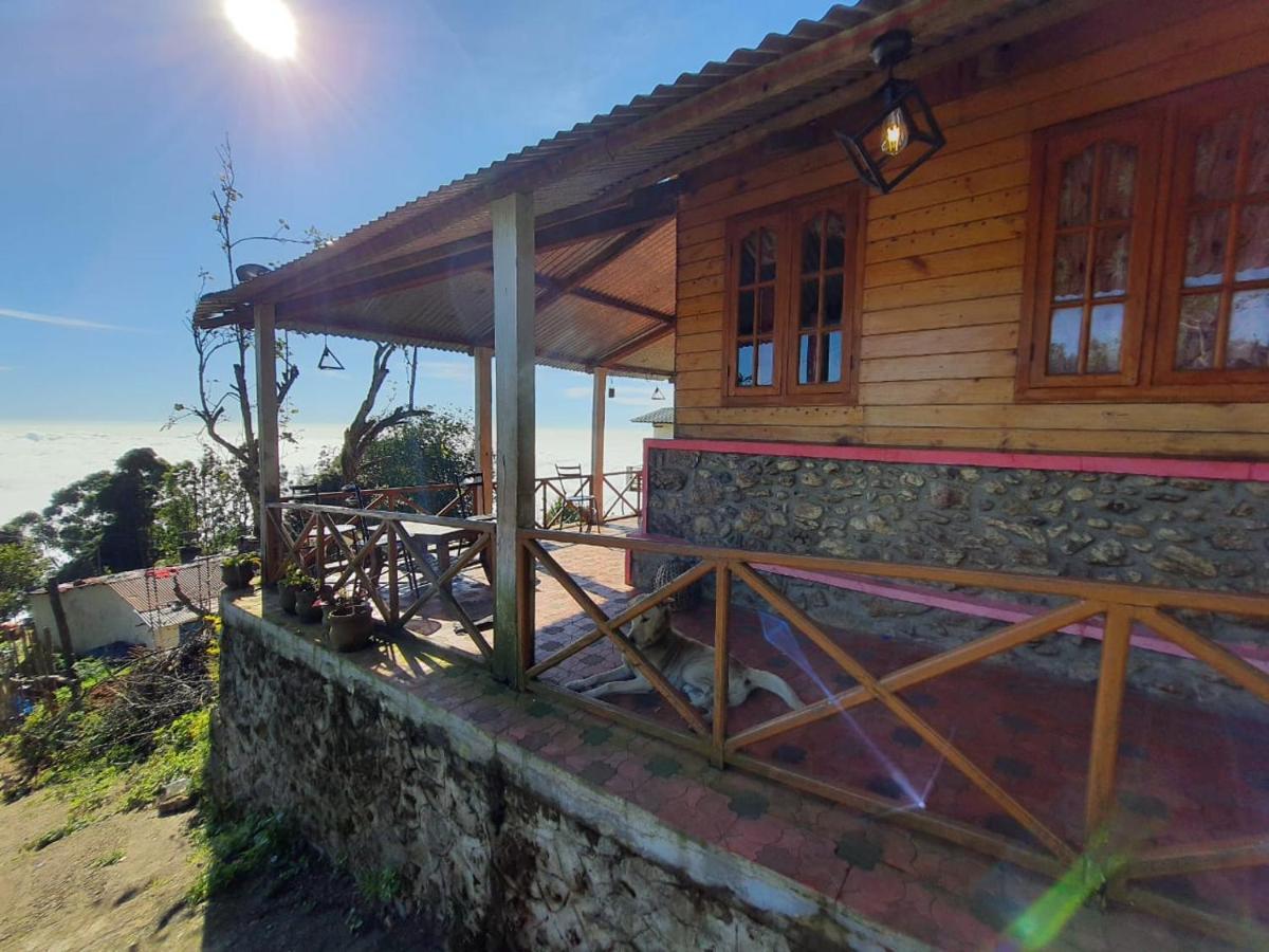 Dostel: Backpacker Hostel 코다이카날 외부 사진